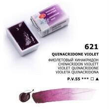 St.Petersburg Tablet Sulu Boya S:1 Quinacridone Violet N:621